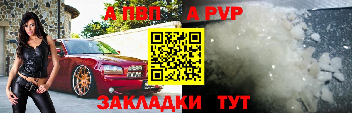 A-PVP СК КРИС Йошкар-Ола