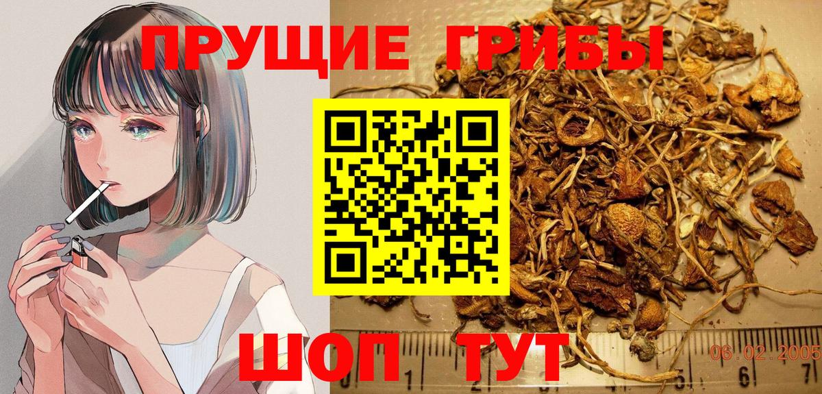 Галлюциногенные грибы Psilocybe  Псилоцибиновые грибы прущие грибы  где купить наркоту  Йошкар-Ола  Вход с VPN 