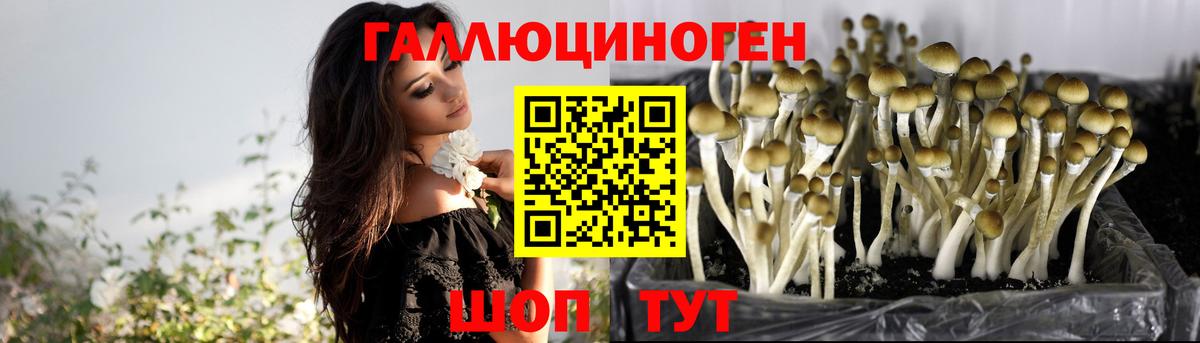 Псилоцибиновые грибы MAGIC MUSHROOMS Йошкар-Ола